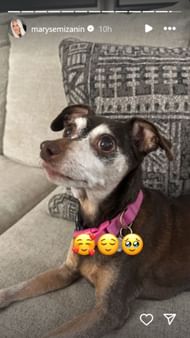 @marysemizanin on IG)